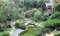 Hannah_Carter_Japanese_Garden