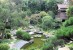 Hannah_Carter_Japanese_Garden