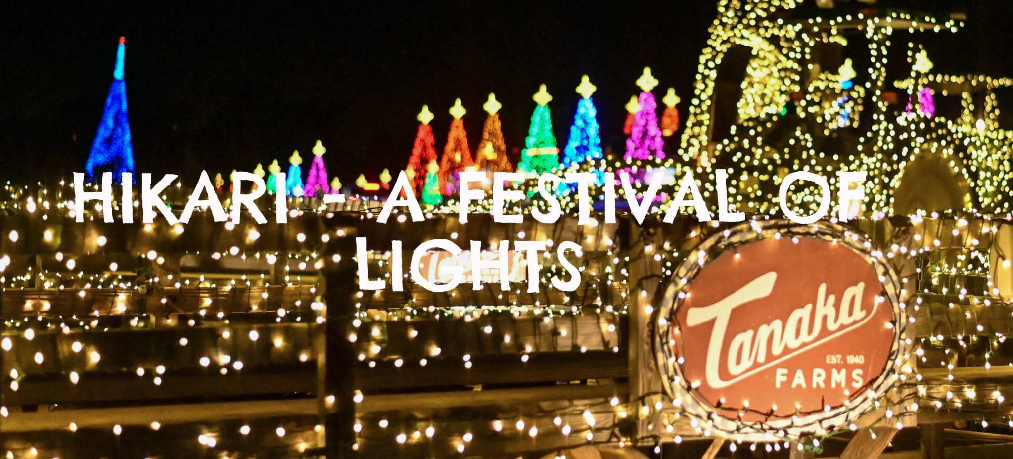 Hikari A Festival of Lights at Tanaka Farms Rafu Shimpo